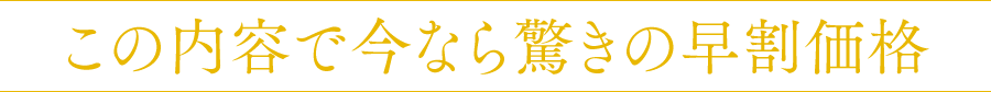 この内容で今なら驚きの早割価格