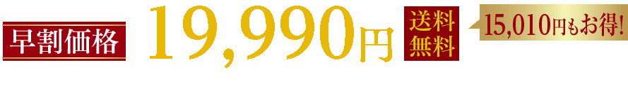 早割価格21,000円(税抜)送料無料
