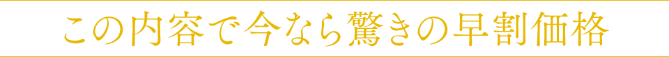 この内容で今なら驚きの早割価格